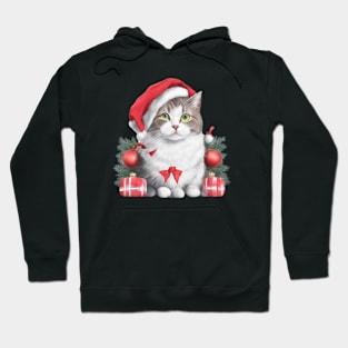 funny santa cat Hoodie